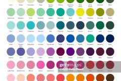 Color Palette - Popular Colors. Color Chart. Patterns and Names. RGB, HEX HTML. Vector color